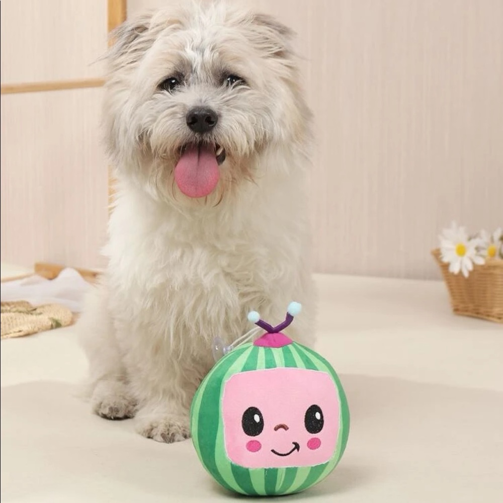 Cocomelon Design Pet Plush Toy 🐩